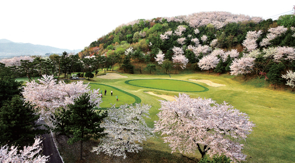 [경기도 아름다운 골프장 10선] 안산 제일컨트리클럽