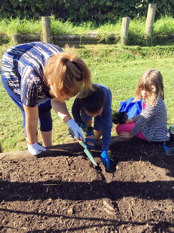 식물의 성장을 알아보기 위해 학교 근처 텃밭을 찾은 아이들. 직접 씨앗을 심어 물을 주고 기르며 수확의 기쁨도 맛볼 수 있다.