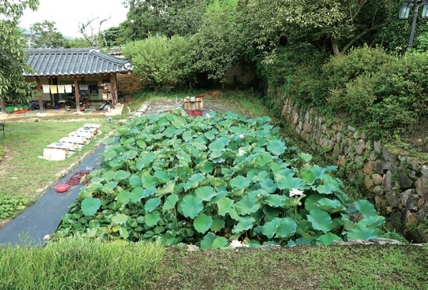 별당 툇마루에서 내려다본 연지. 연지에는 흙탕물에서 고운 꽃을 피우는 연을 기르는 것이 통례였다. 선비의 삶도 마찬가지라는 뜻일 것이다.