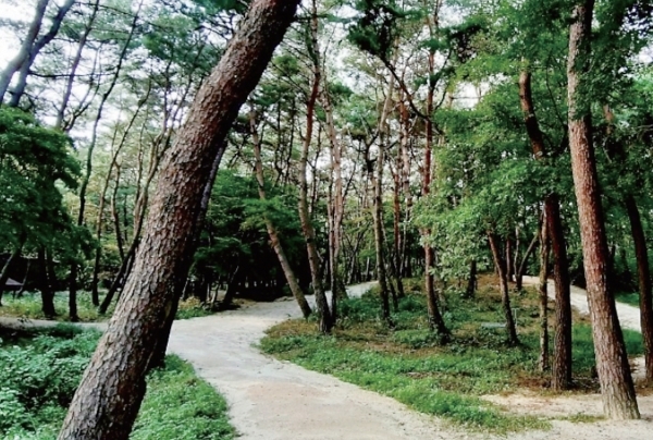 세종릉과 효종릉 사잇길.