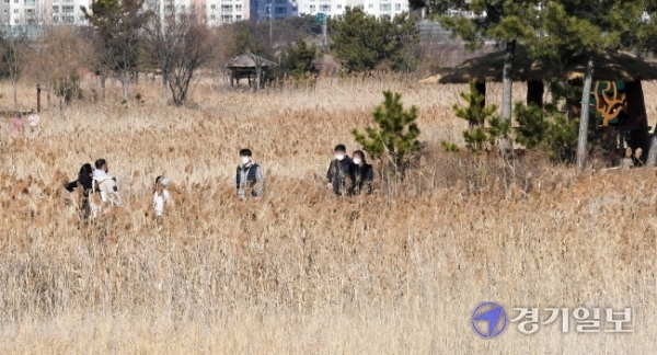 인천시 남동구 소래습지생태공원. 장용준기자