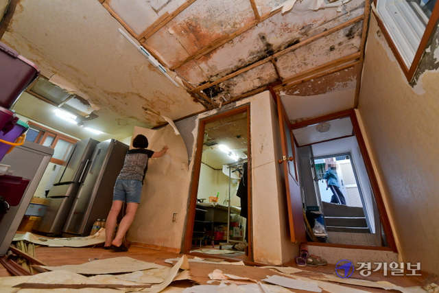 성남시의 한 반지하주택에서 집주인이 짐을 정리하고 있다. 이 집은 윗집에서 일어난 침수로 곰팡이 등으로 엉망이 돼 공사를 앞두고 있다. 윤원규기자