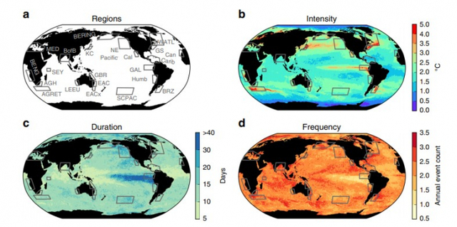 최근 34년간 해수온도를 측정해 나타낸 해양열파 분포 사진. 이를 통해 각 지역별 해양열파의 강도와 빈도수를 측정한 통계적 수치를 볼 수 있다. 현재 해양열파가 극심한 상태로 발생하고 있음을 나타내는 모습. 네이처 제공