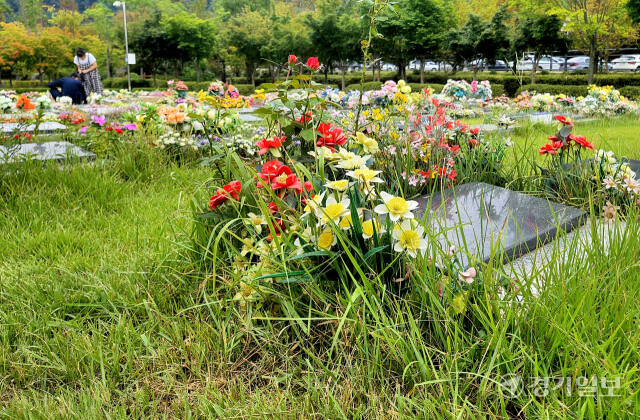 용인특례시 처인구 이동읍 어비리 1462 일원 시립 종합장사시설인 평온의 숲 봉안묘 구역을 찾은 성묘객들이 제초작업을 하고 있다. 송상호기자